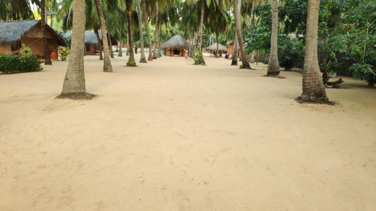 Roshanne Beach Resort Kalpitiya Exterior foto